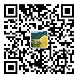 大玩家app